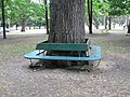 osmwiki:File:Bench and trees (1245397989).jpg