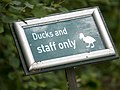 osmwiki:File:Ducks and staff only (sign) (14191923469).jpg
